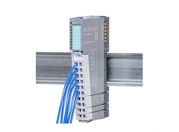 TB20 Function module Strain gauge weighing module