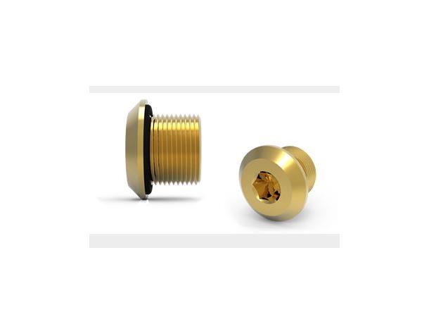 Hawke 387 Stopping Plug 21/2" NPT Brass Exe Dome Head w/O-Ring