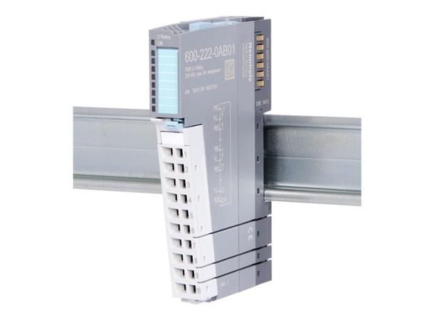 TB20 Digital output DO 2x relay, 5A, 230V, changeover